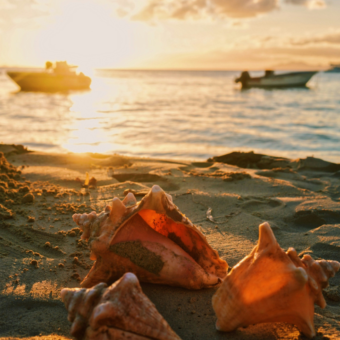 Basse-Terre
