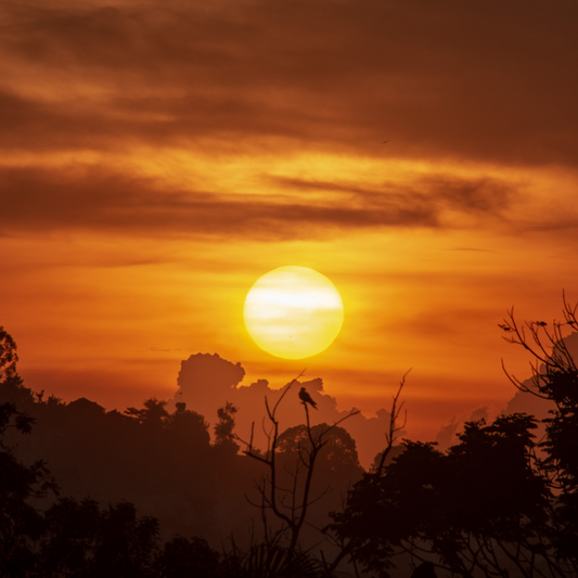 Authentic tailor-made trips