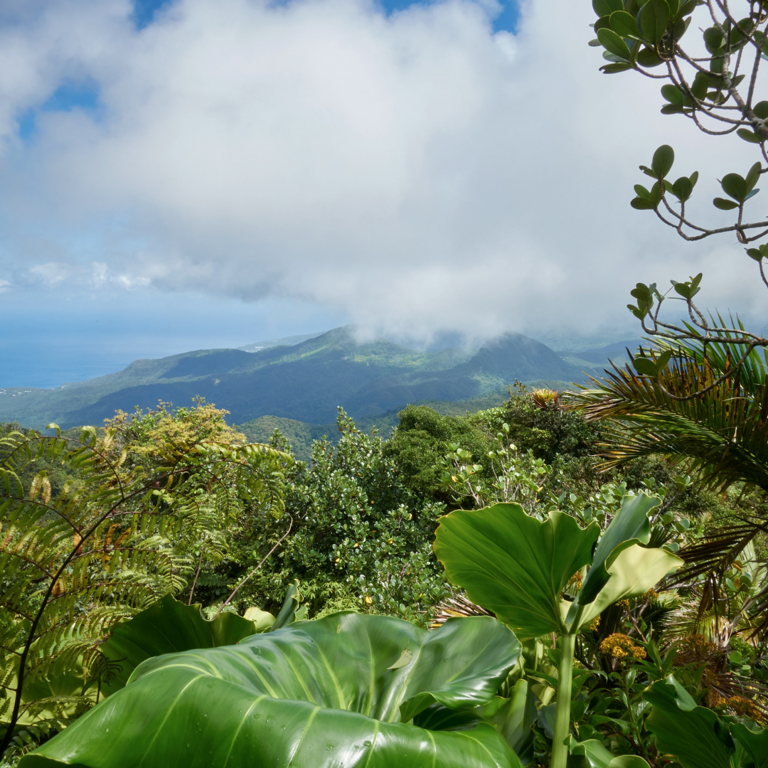 La Soufrière