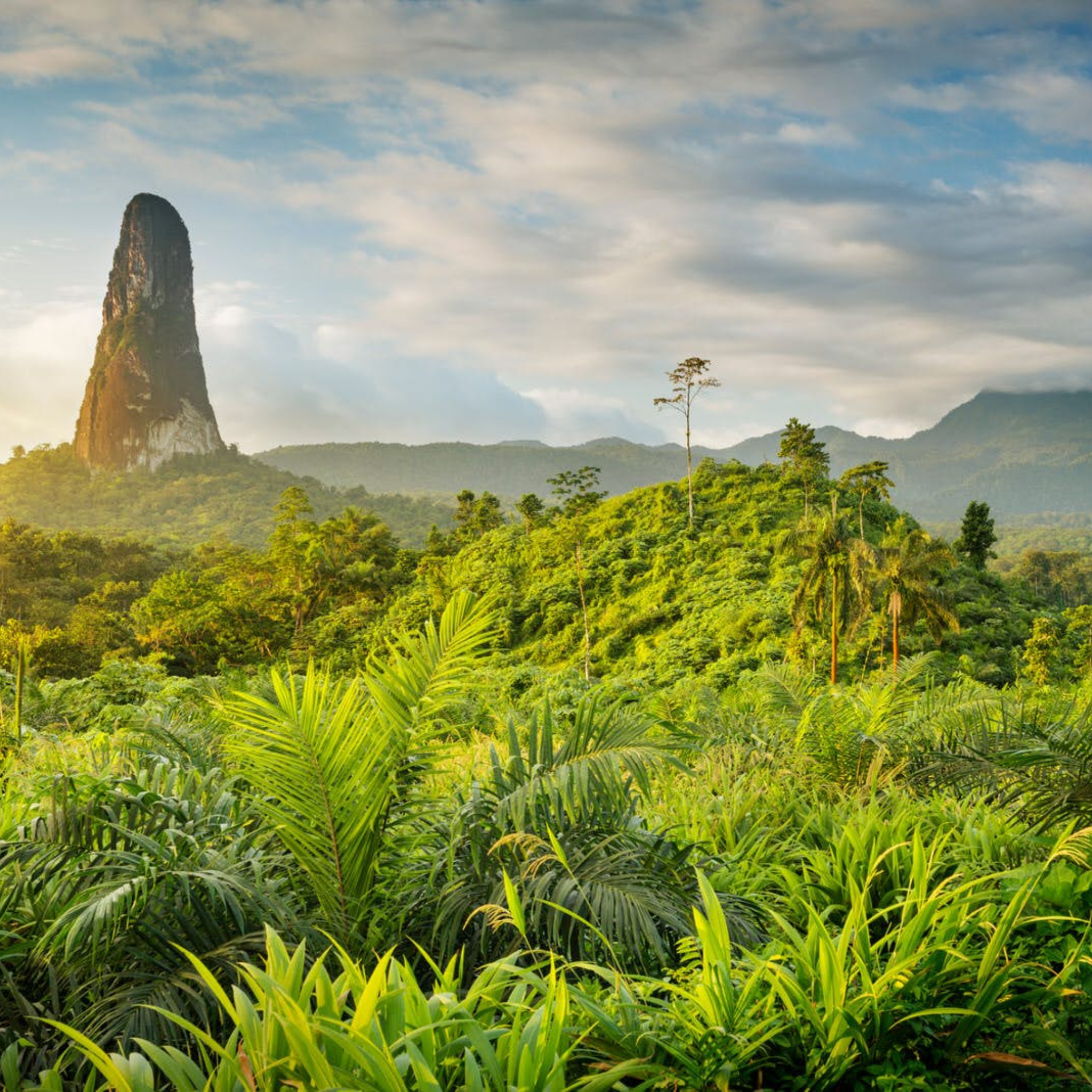 São Tomé : Les Trésors Cachés || 16-23 Jul 2025