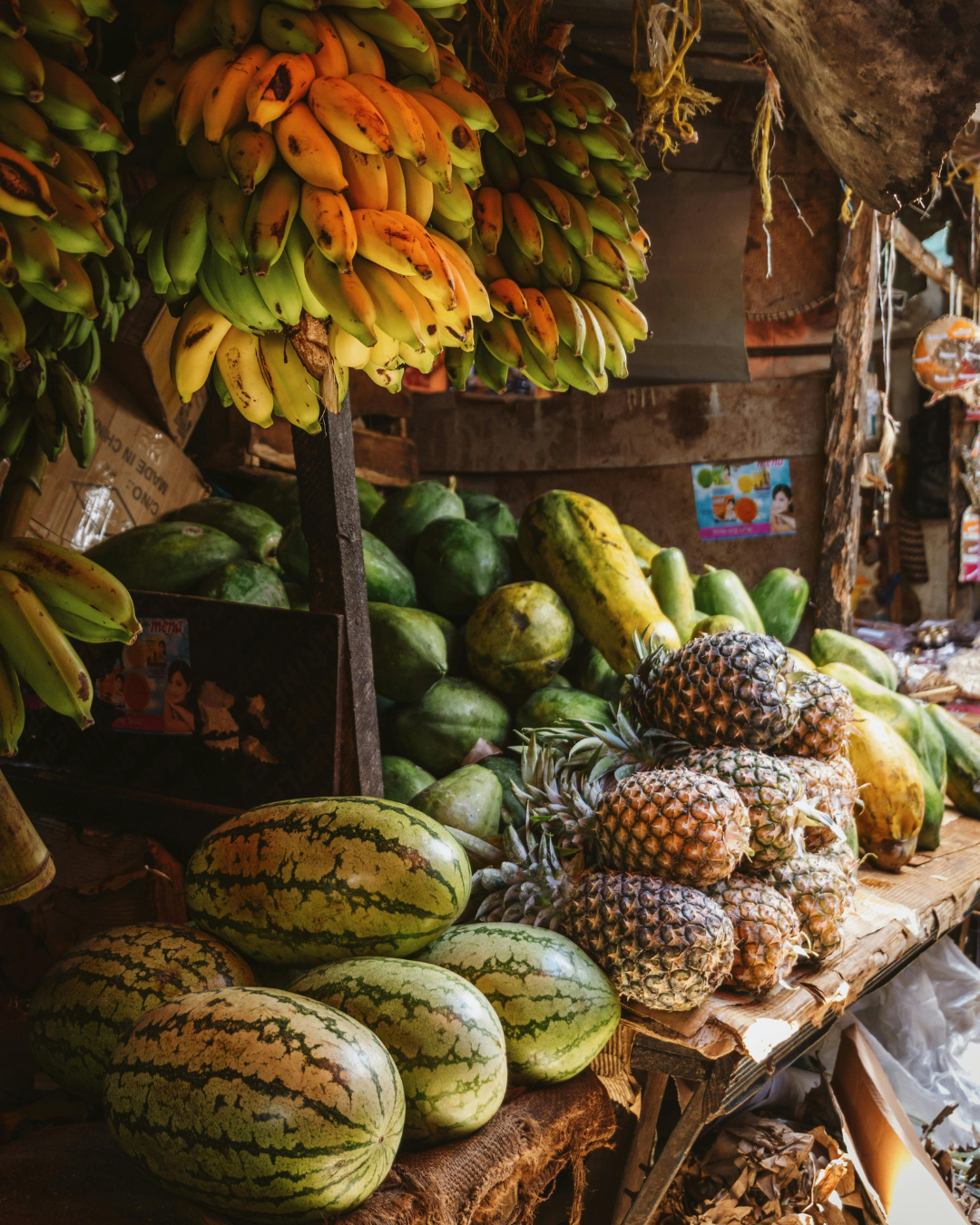 Zanzibar : the Island of a Thousand Secrets