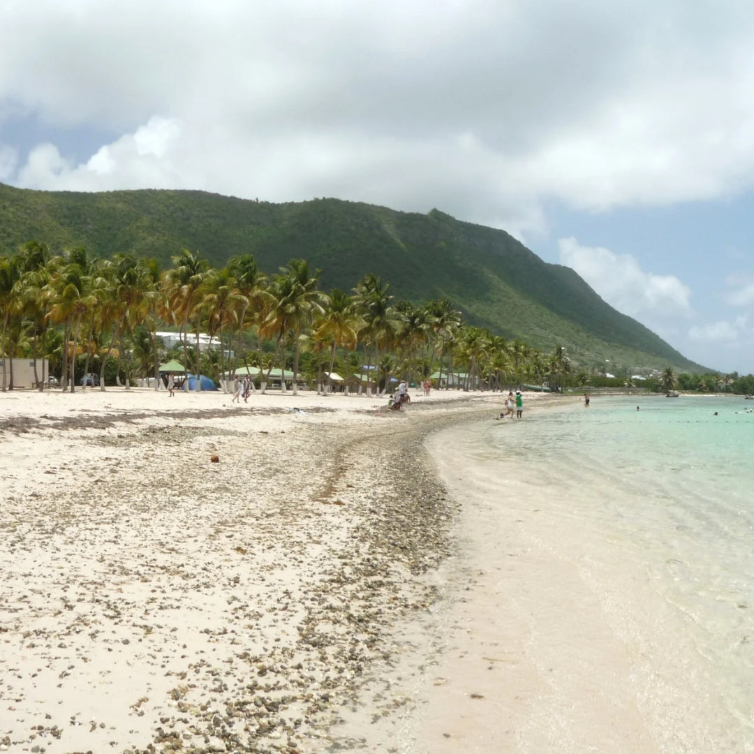 8 days in Guadeloupe : A Journey to the Carnival Spirit